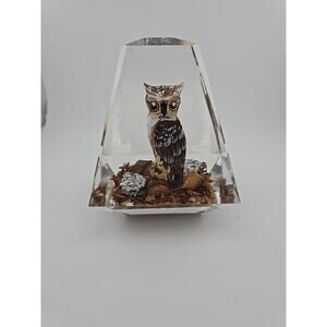 Vintage Horned Owl Hand Carved Hand Painted Paperweight Lucite/Acrylic